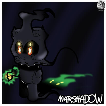 The Shadow Fighter Pokemon